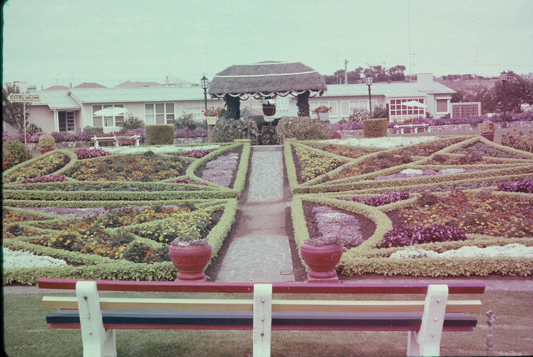 The symmetry and extraordinary manicured detail of the FJ gardens in 1963. Photo: Lindsay Duus