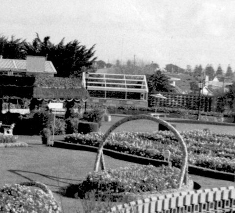 The peacock house just after it was built in 1965